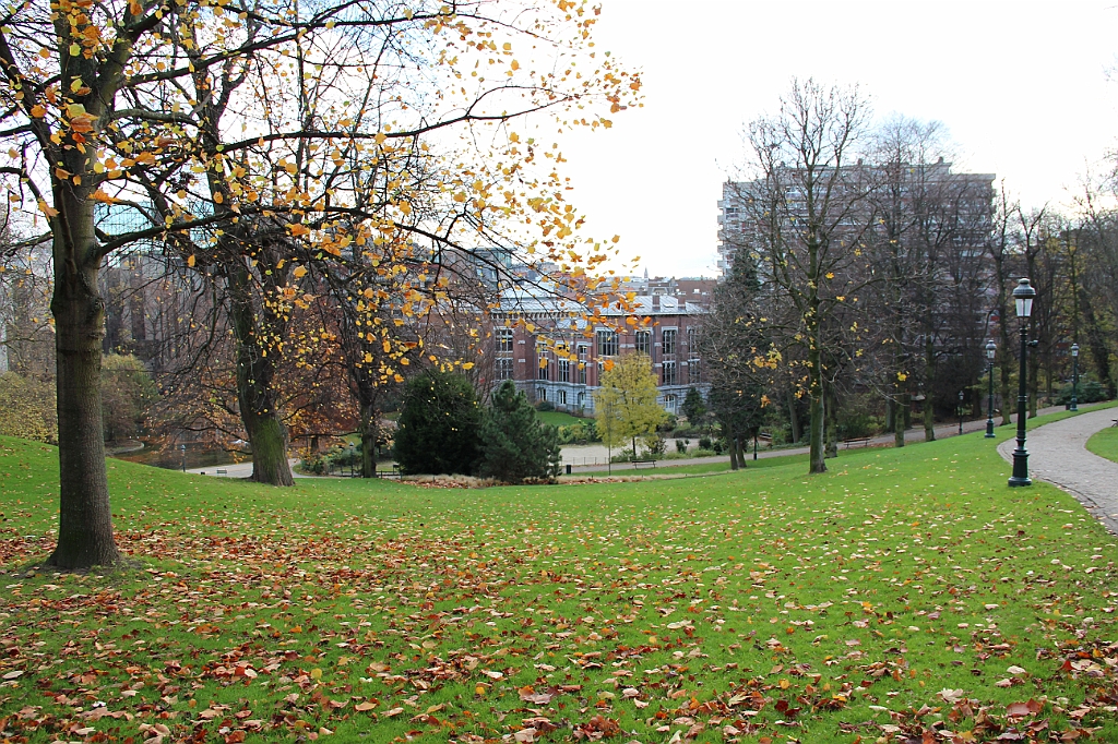 Bryssel 28 november - 1 december 2012 (15)